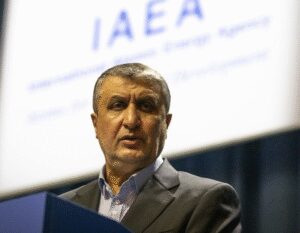 Russia to build eight nuclear plants in Iran: Atomic chief