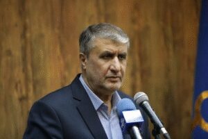 Iran’s atomic chief urges IAEA to end ‘inaction,’ condemn Israeli attacks