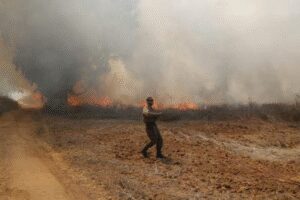 Israeli soldier killed in Gaza