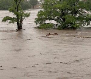 Death toll from Texas floods rises to over 100; search and rescue ops continue