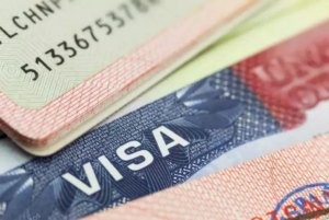 Over 140k visas issued to Indian students in FY 2023: US State Dept Over 140k visas issued to Indian students in FY 2023: US State Dept