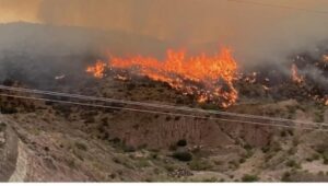 Wildfire rages on for third day near Cape Town in South Africa
