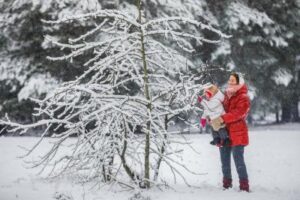 St. Petersburg’s temperature hits 74-year low