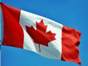 Canada announces new military donations for Ukraine