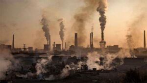GEF Council allocates 6 million for biodiversity, pollution control