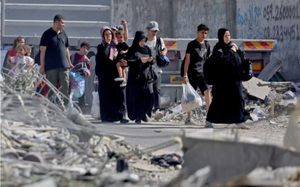 Over 1.1 mn people in Gaza facing food insecurity: UN