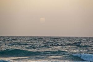 89 migrants found dead at sea off Mauritania