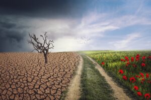A record-breaking year highlights urgency for global climate action