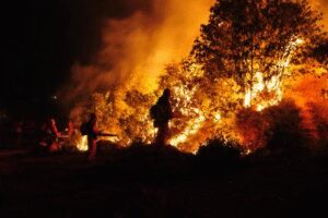 Wildfires in Spain signal growing climate risks for Europe, expert warns