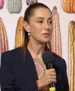 Mexico urges US ‘consideration’ over new vehicle tariffs