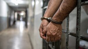 Chinese national jailed in US fraud case