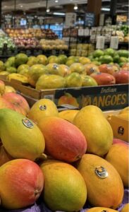 Indian mangoes arrive in Seattle stores