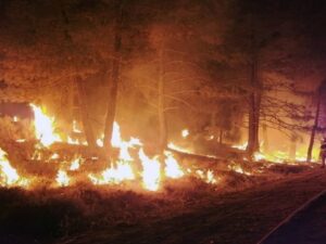 Three US wildland firefighters killed near Colorado-Utah border as western fires surge