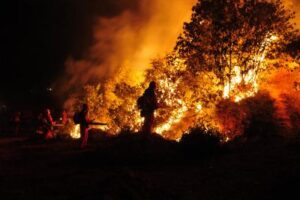 Wildfire rages in Spain, scorching 2,300 hectares of land