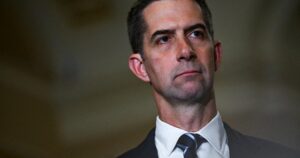 US senator warns against Chinese AI models